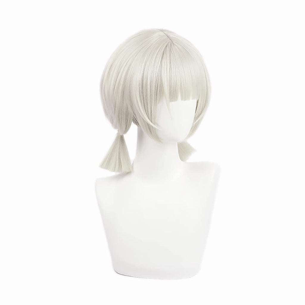 Cosplay Anime Wig