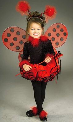Ladybug