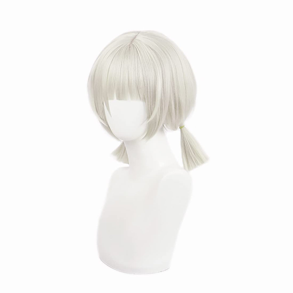 Cosplay Anime Wig