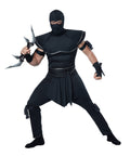 Stealth Ninja