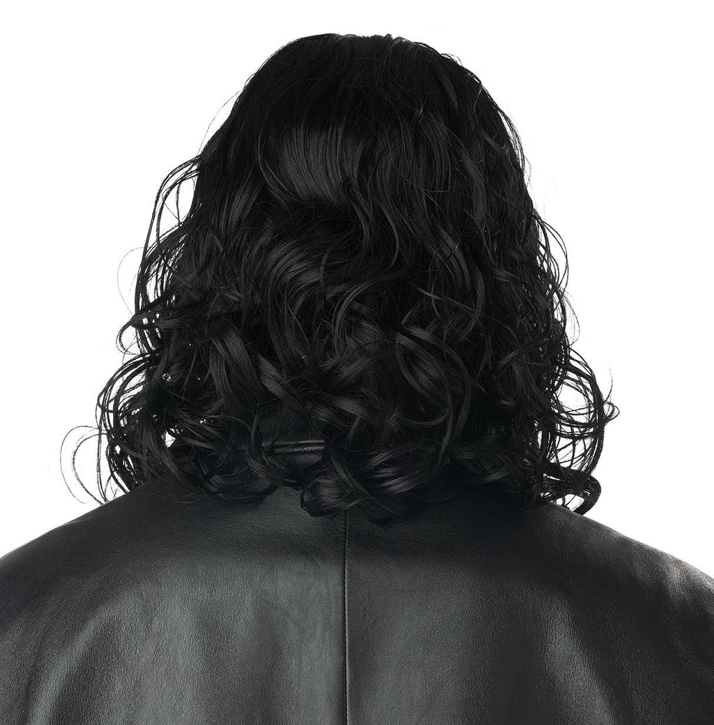 Dark Avenger Wig