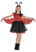 ladybig kid costume