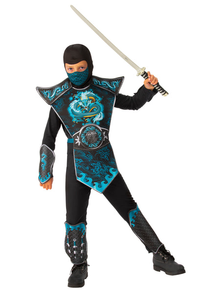 Blue dragon ninja