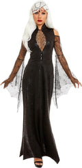 Black widow spider
