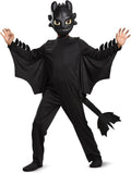 Dragons Toothless Kids Costume