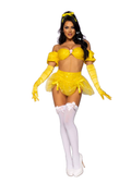 Fairytale Beauty Costume